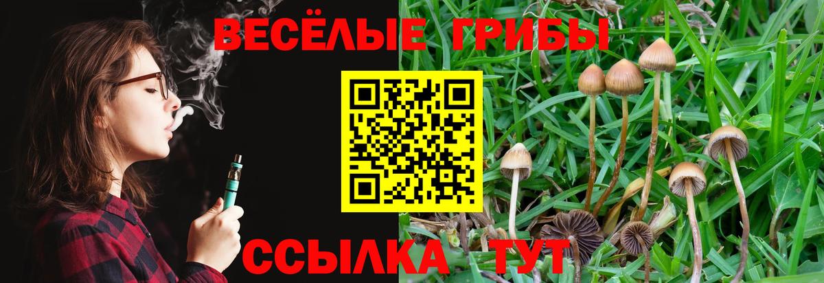 Псилоцибиновые грибы Psilocybine cubensis  сколько стоит  Вход с VPN  Карталы  Псилоцибиновые грибы мухоморы 